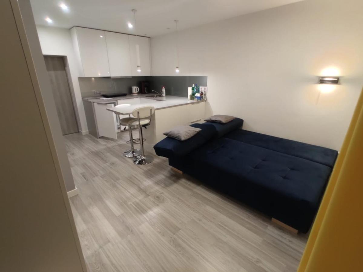 Comfortable Studio Only 20 Minutes From International Conference Center Katowice Best Place For Wuf2022 Eec Tnf Off Etc Siemianowice Śląskie Exterior foto